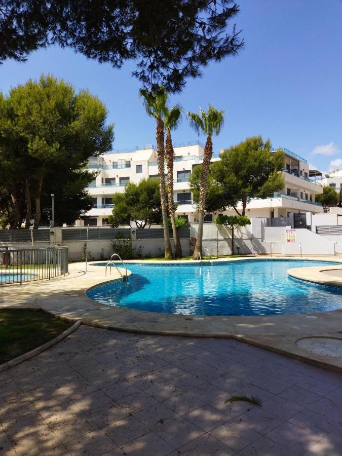 Apartment Pinar Con Sorpresa